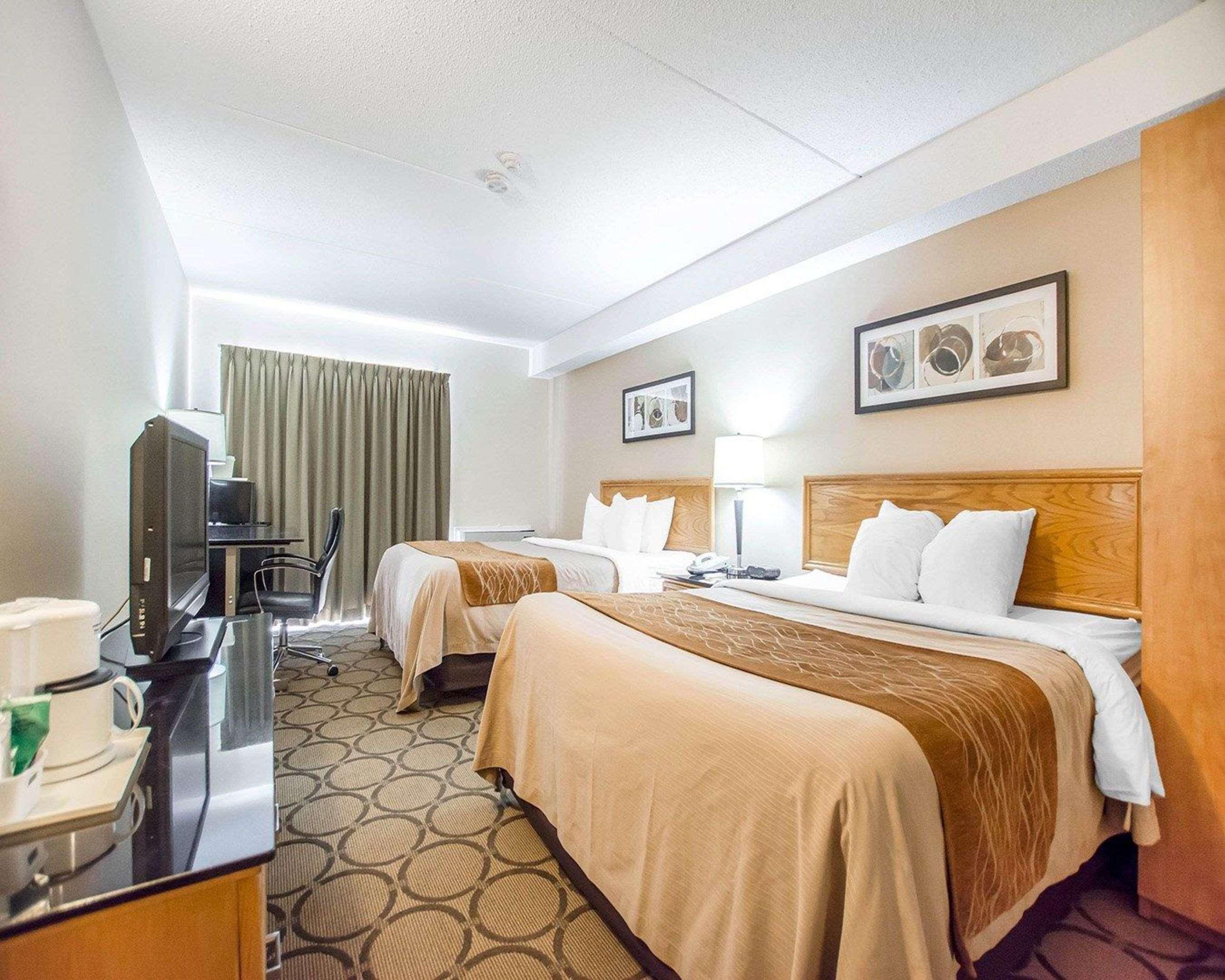 Comfort Inn East Moncton Ngoại thất bức ảnh