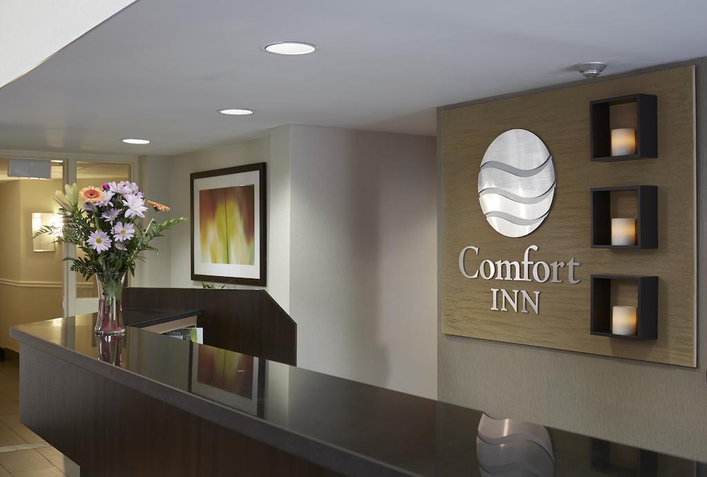 Comfort Inn East Moncton Ngoại thất bức ảnh